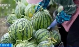 热门大瓜有哪些 网红黑料在线,网红黑料背后的真相与反思